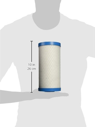 Pentek 355752-43 Carbon Filter