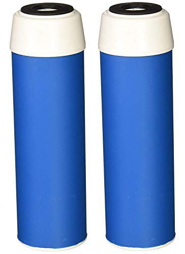 Pentek GAC-10 Drinking Water Filter (9-3/4" x 2-7/8")