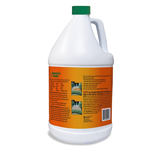 American Hydro Systems 2662 Rid O' Rust Liquid Rust Stain Remover, 1-Gallon, 4-Pack