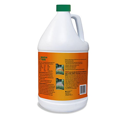 American Hydro Systems 2662 Rid O' Rust Liquid Rust Stain Remover, 1-Gallon, 4-Pack